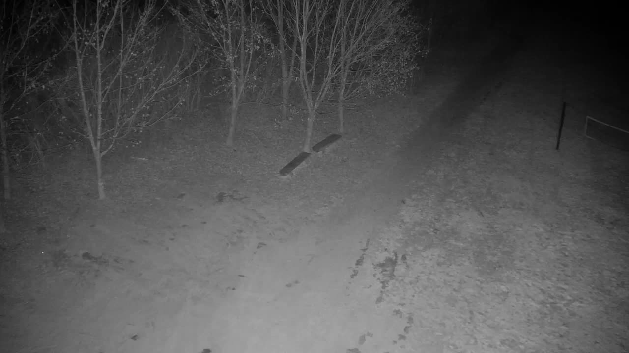 Webcam Ribnik Vrbje – Žalec