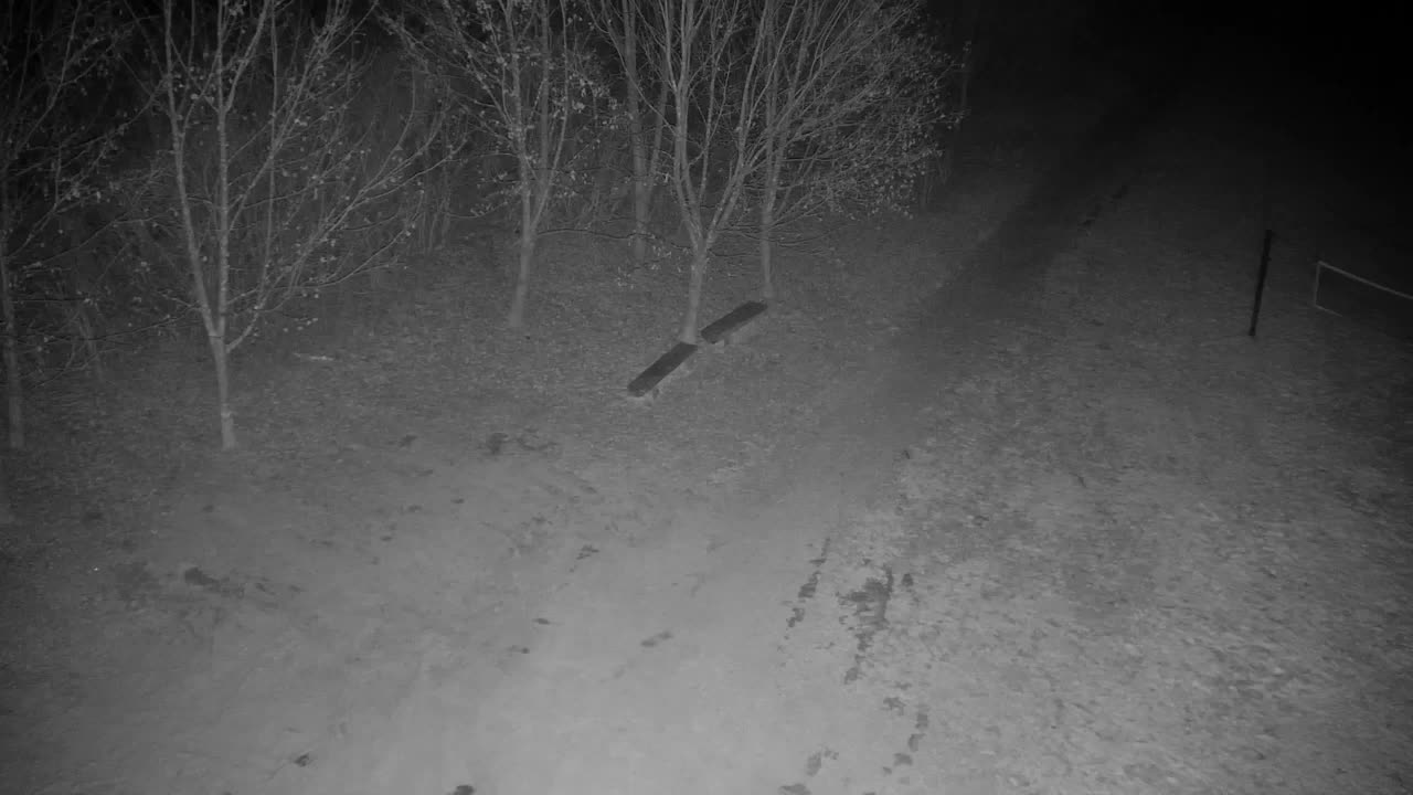 Webcam Ribnik Vrbje – Žalec