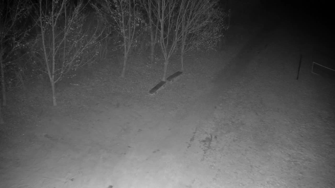 Webcam Ribnik Vrbje – Žalec