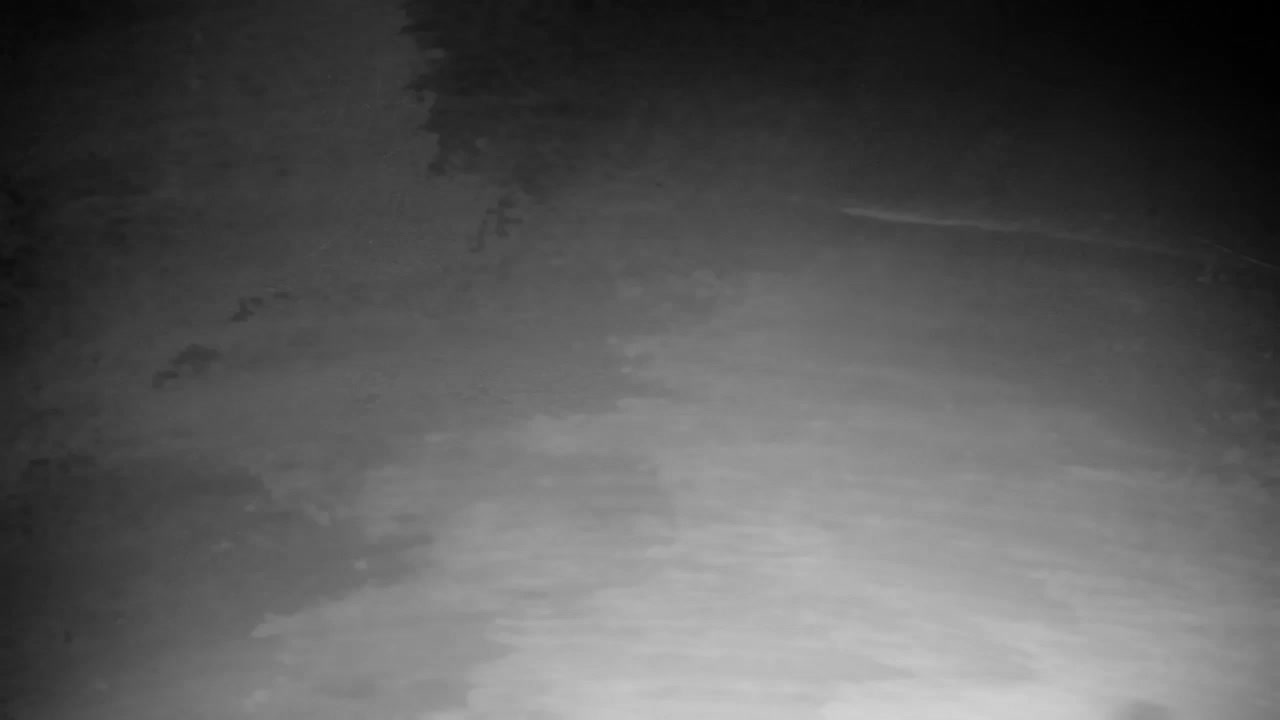 Webcam Ribnik Vrbje – Žalec