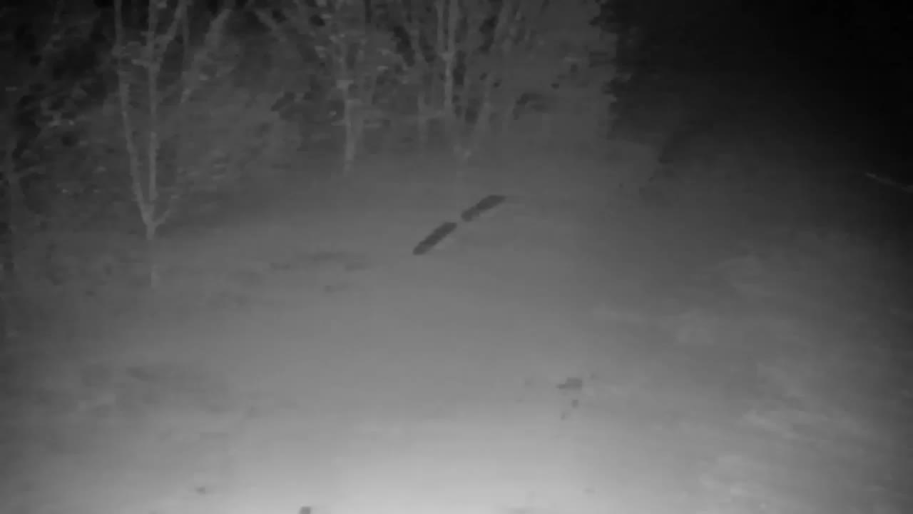 Spletna kamera Ribnik Vrbje – Žalec