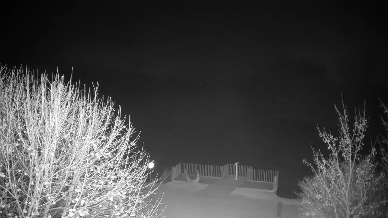 Webcam Ribnik Vrbje – Žalec