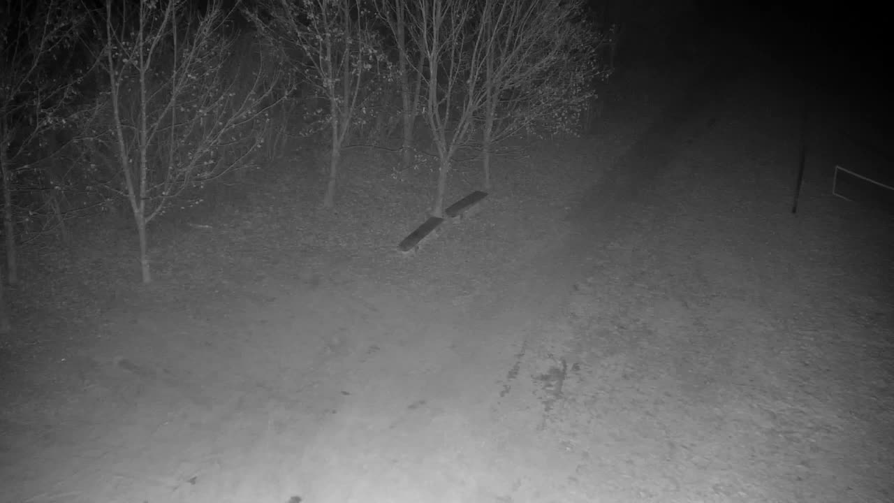 Webcam Ribnik Vrbje – Žalec