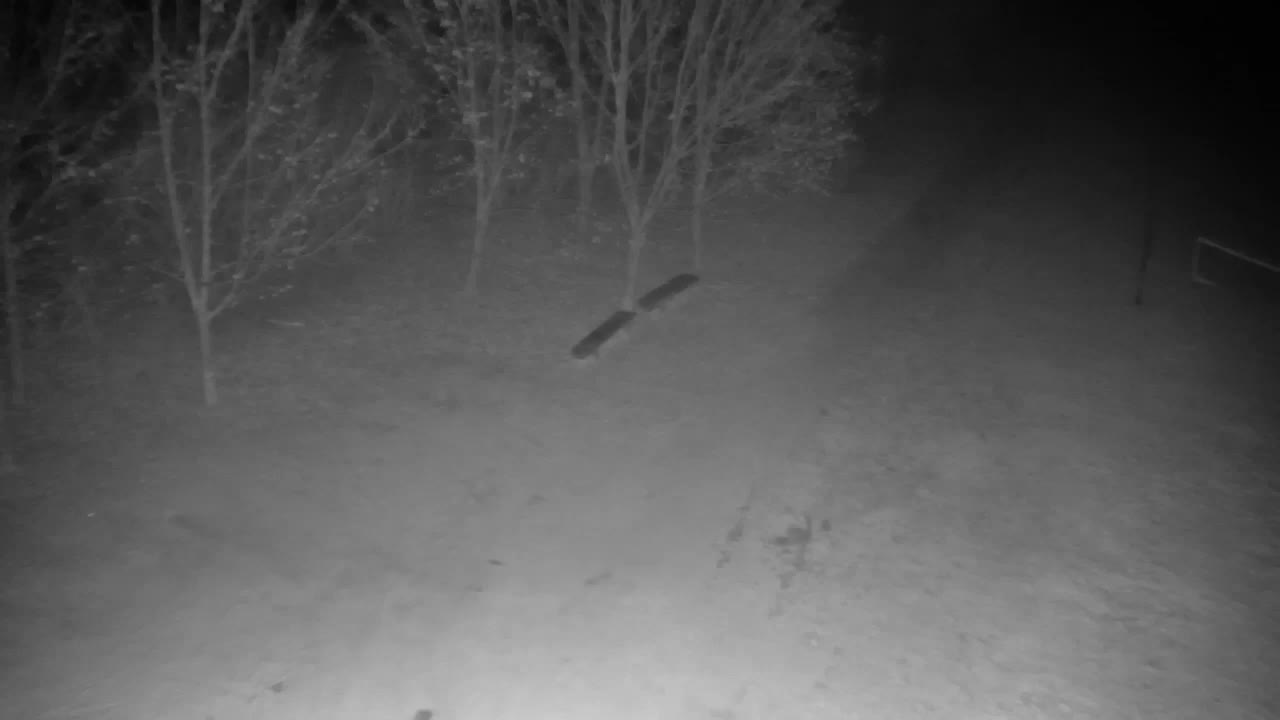 Webcam Ribnik Vrbje – Žalec