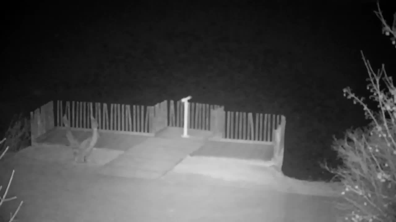 Spletna kamera Ribnik Vrbje – Žalec