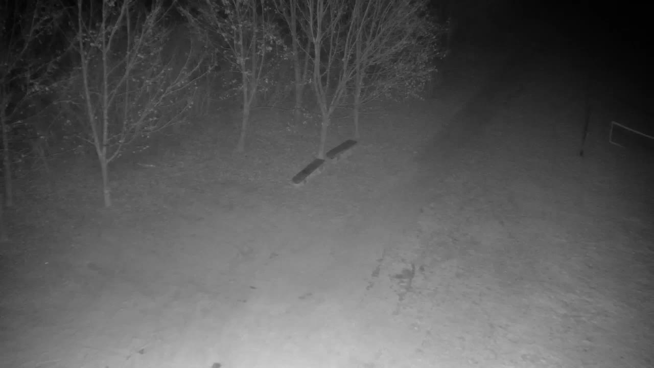 Webcam Ribnik Vrbje – Žalec