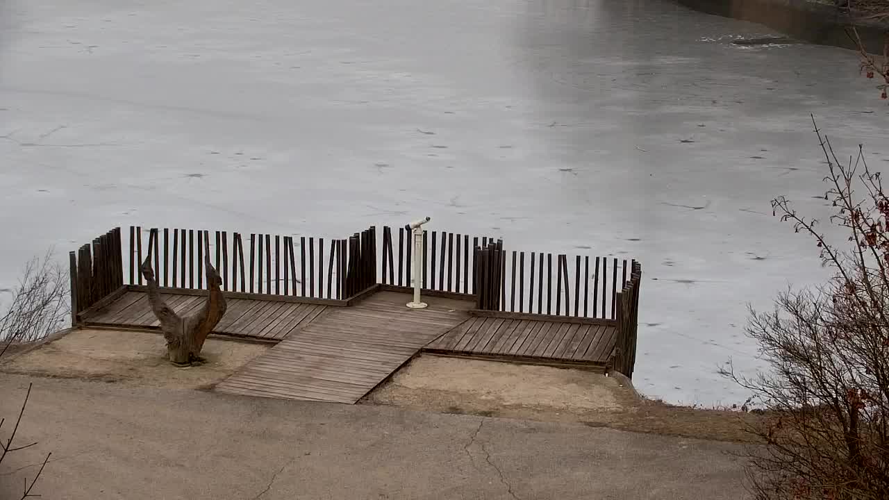 Webcam Ribnik Vrbje – Žalec