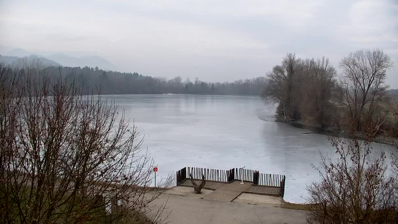 Webcam Ribnik Vrbje – Žalec