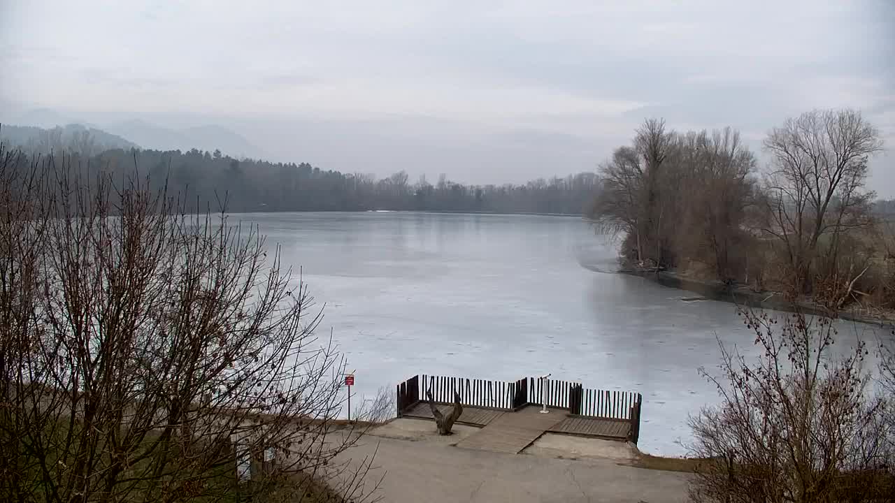 Webcam Ribnik Vrbje – Žalec