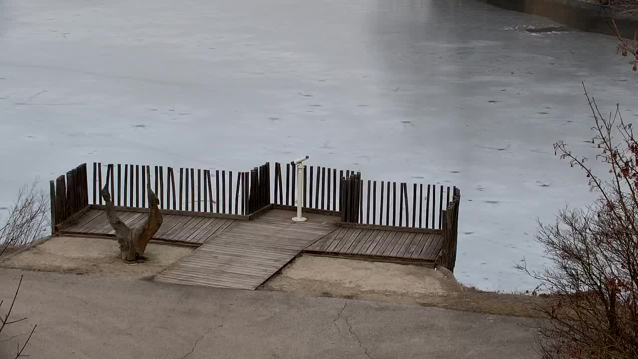 Webcam Ribnik Vrbje – Žalec