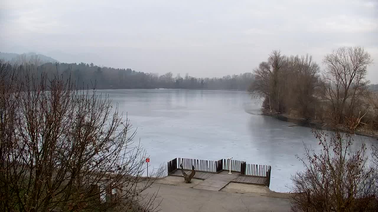 Webcam Ribnik Vrbje – Žalec