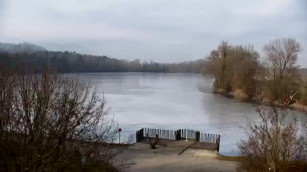 Webcam Ribnik Vrbje – Žalec