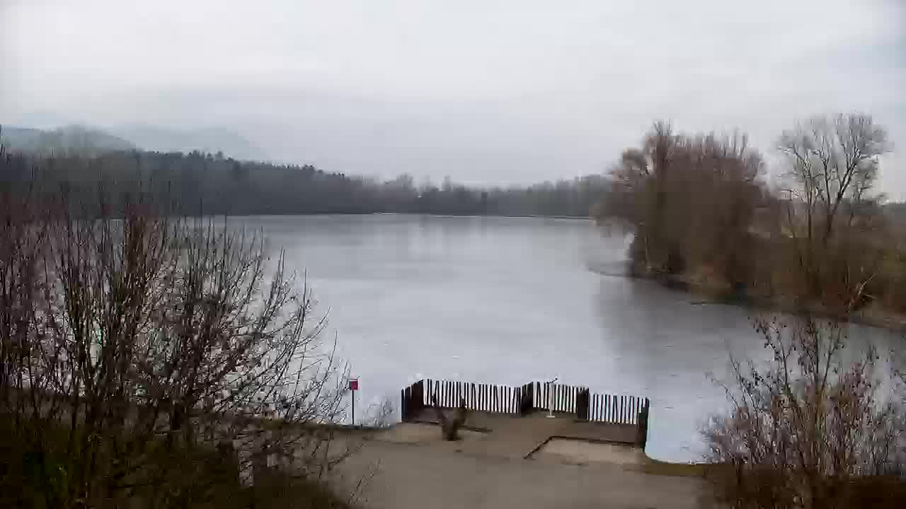 Webcam Ribnik Vrbje – Žalec