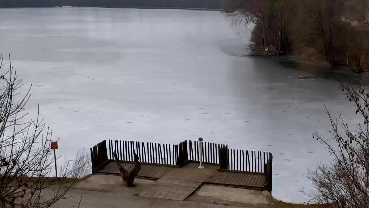 Webcam Ribnik Vrbje – Žalec