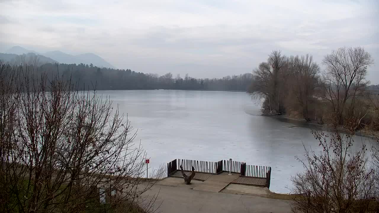 Webcam Ribnik Vrbje – Žalec