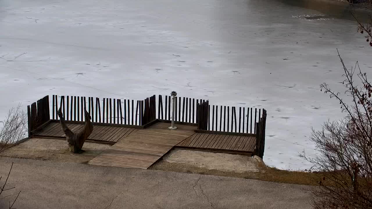 Spletna kamera Ribnik Vrbje – Žalec