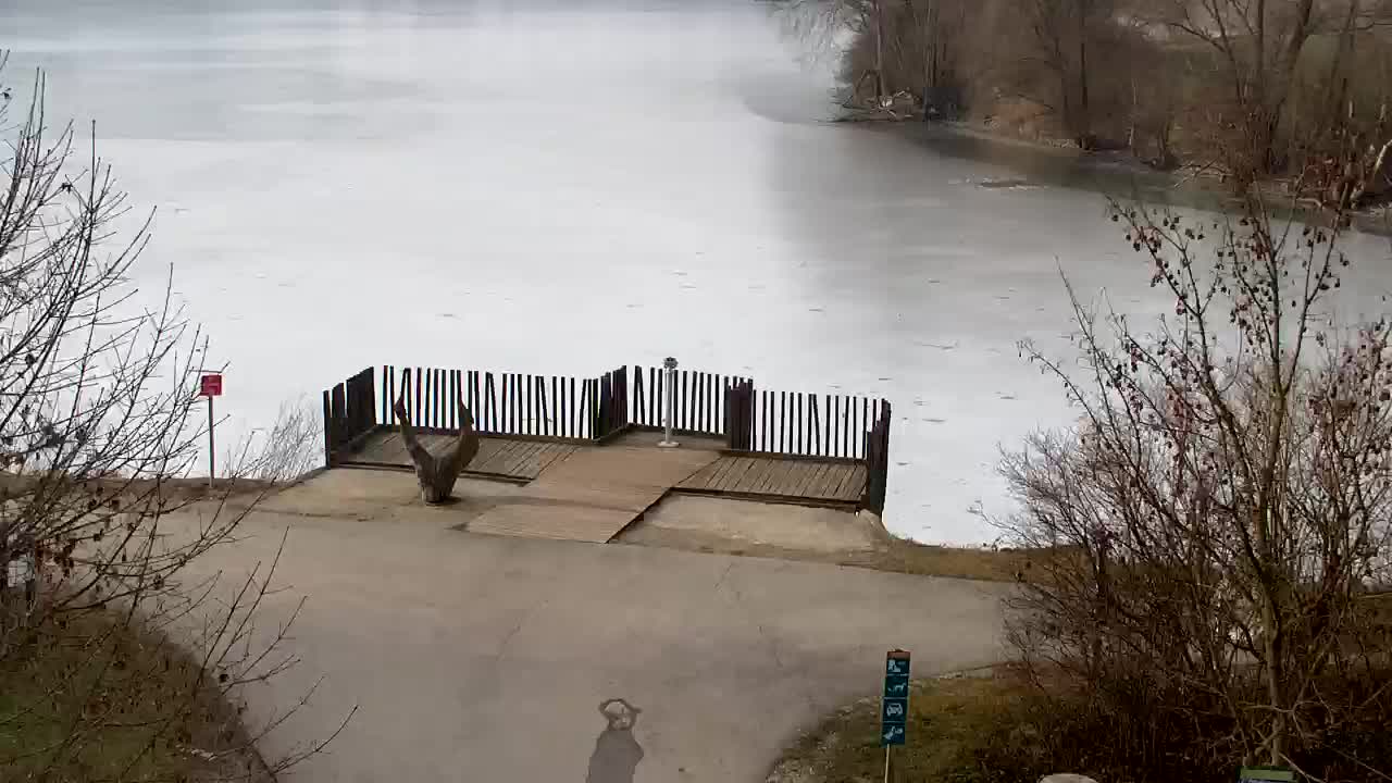 Webcam Ribnik Vrbje – Žalec