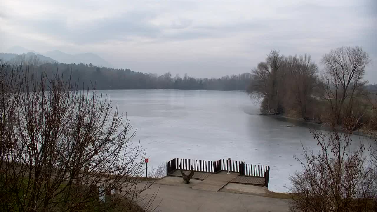 Webcam Ribnik Vrbje – Žalec