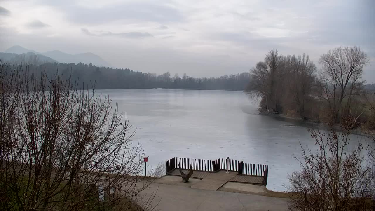 Webcam Ribnik Vrbje – Žalec