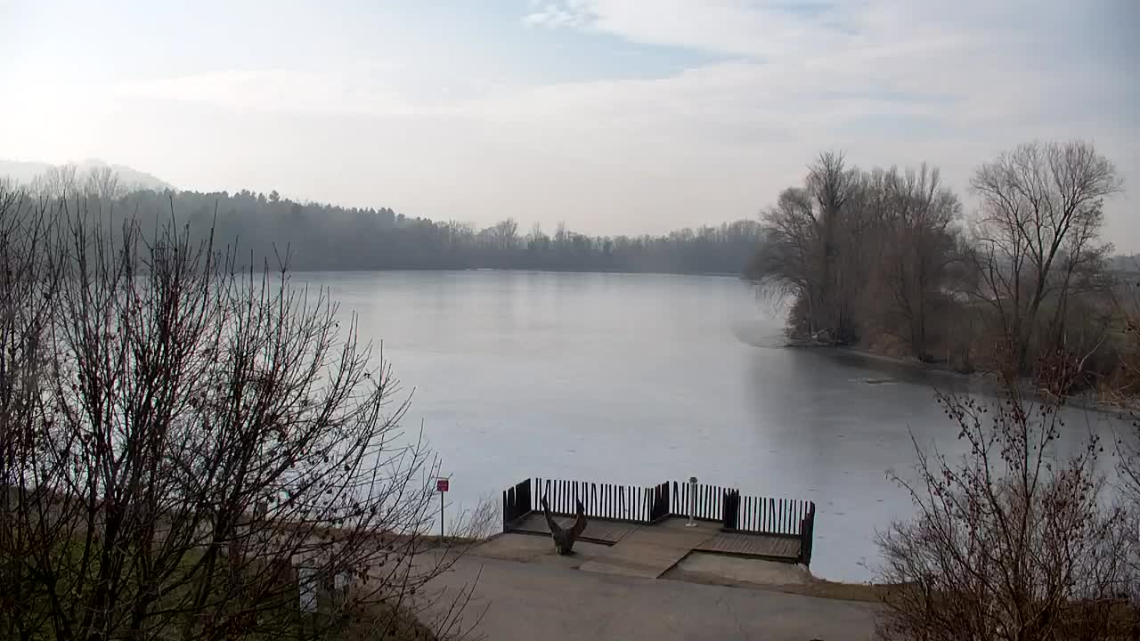 Webcam Ribnik Vrbje – Žalec