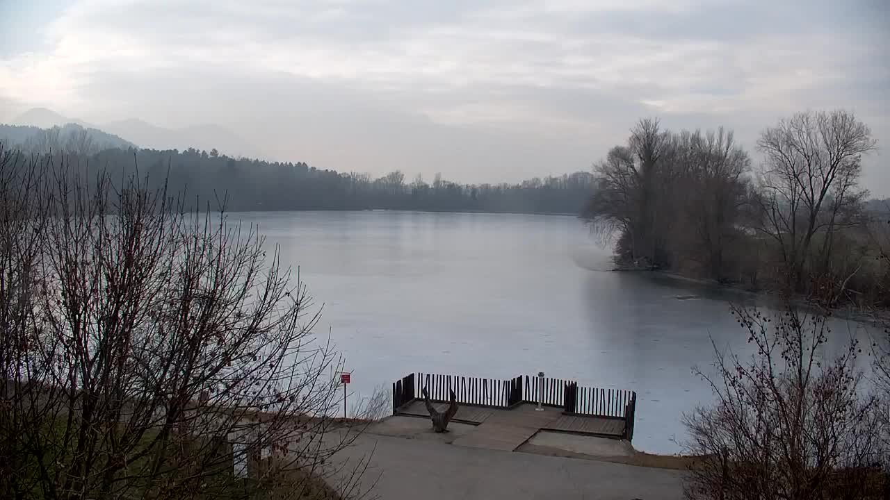 Spletna kamera Ribnik Vrbje – Žalec
