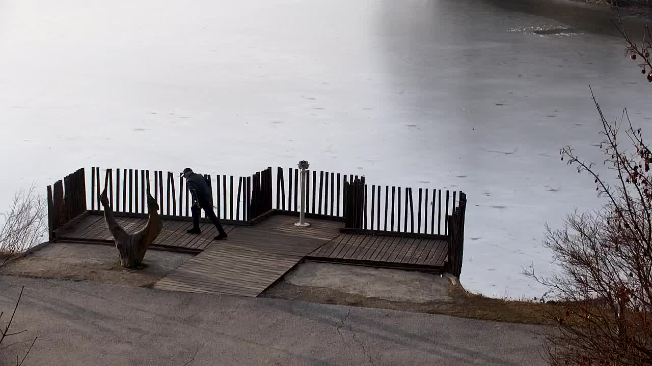 Webcam Ribnik Vrbje – Žalec