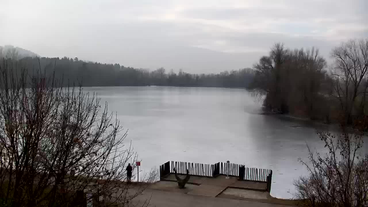 Webcam Ribnik Vrbje – Žalec