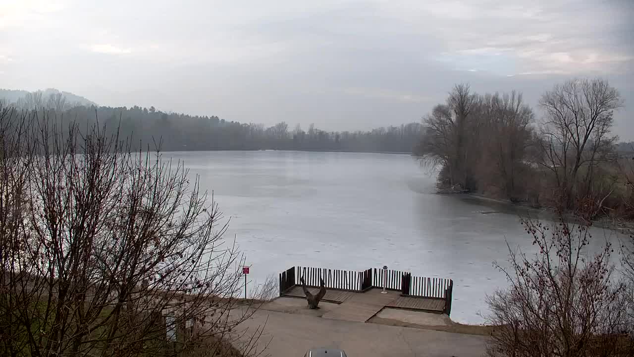 Webcam Ribnik Vrbje – Žalec