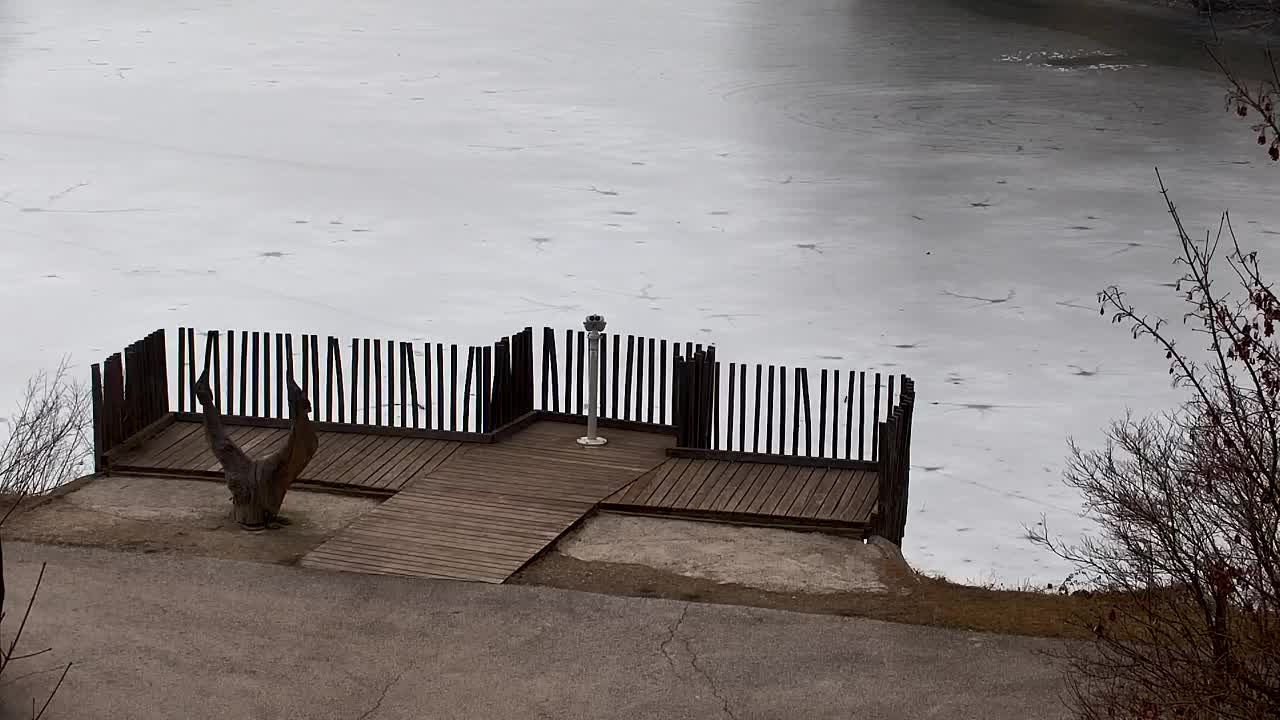 Spletna kamera Ribnik Vrbje – Žalec