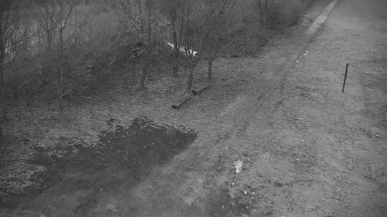 Webcam Ribnik Vrbje – Žalec