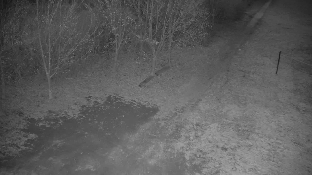 Webcam Ribnik Vrbje – Žalec