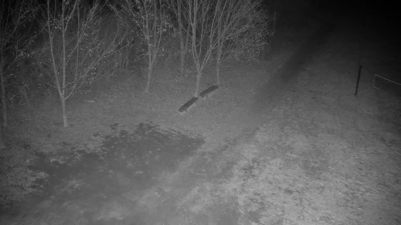 Webcam Ribnik Vrbje – Žalec