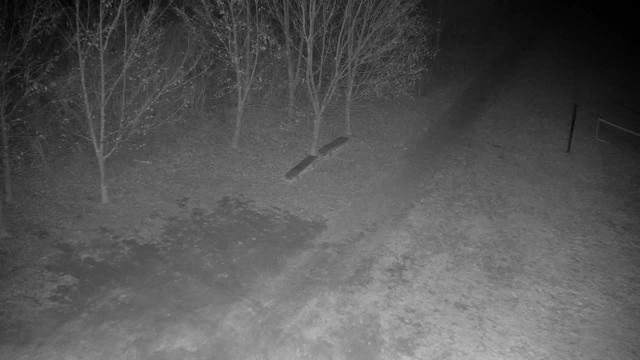 Webcam Ribnik Vrbje – Žalec