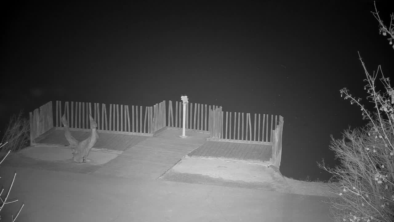 Webcam Ribnik Vrbje – Žalec