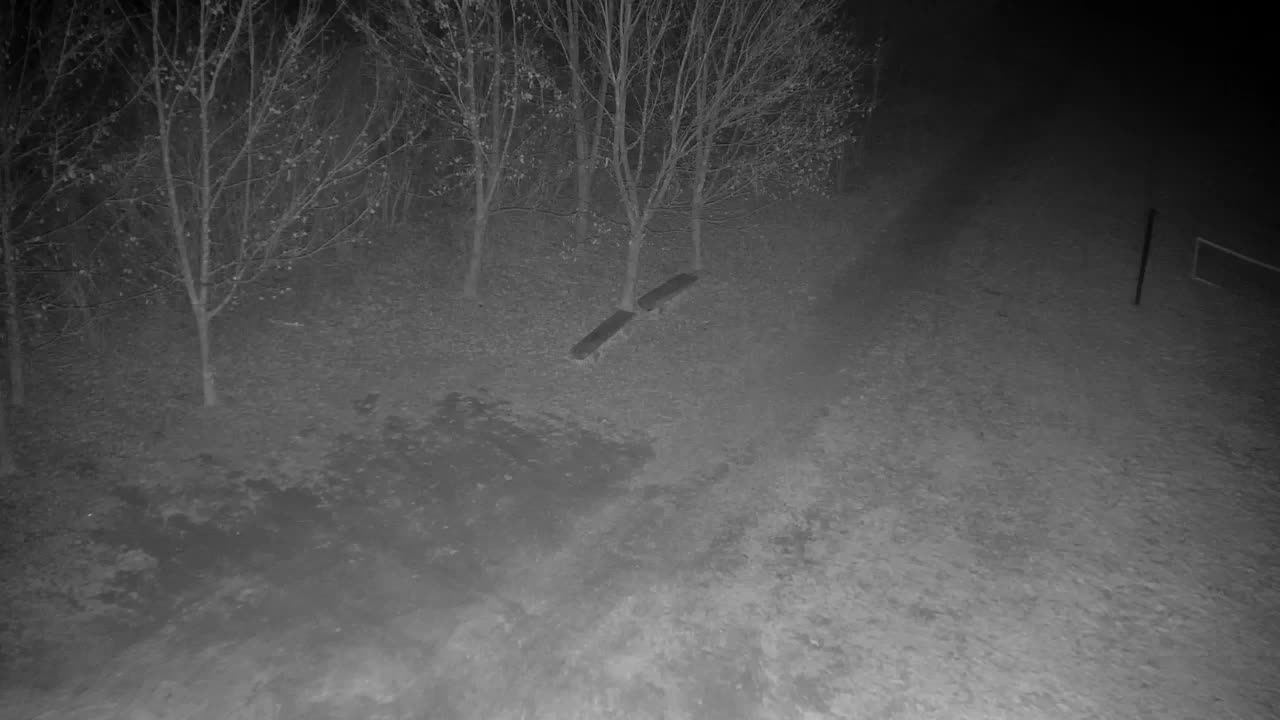 Webcam Ribnik Vrbje – Žalec