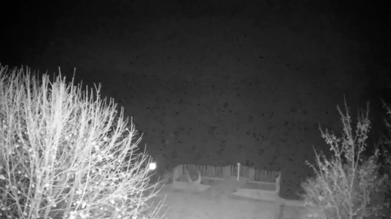 Web kamera Ribnik Vrbje – Žalec