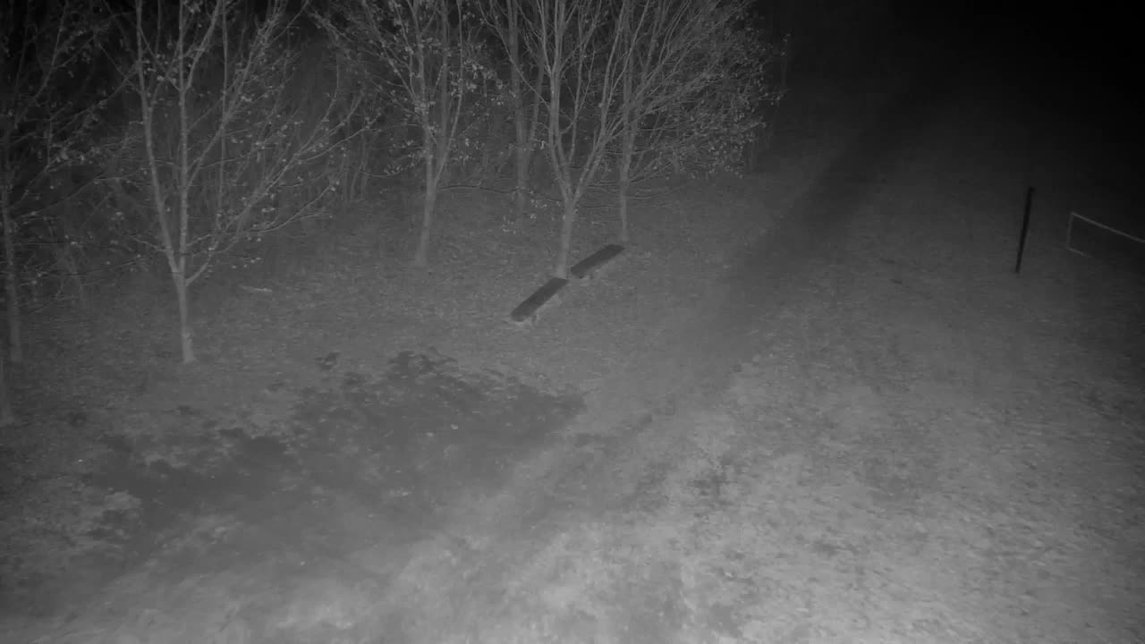 Webcam Ribnik Vrbje – Žalec