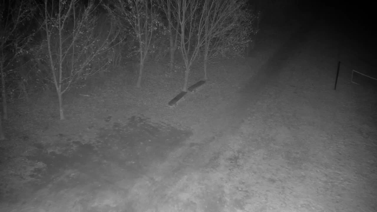 Webcam Ribnik Vrbje – Žalec