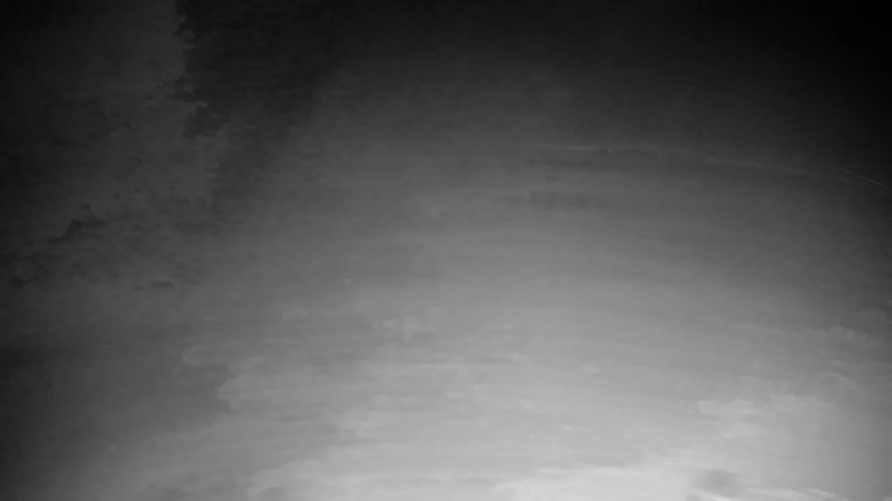 Webcam Ribnik Vrbje – Žalec