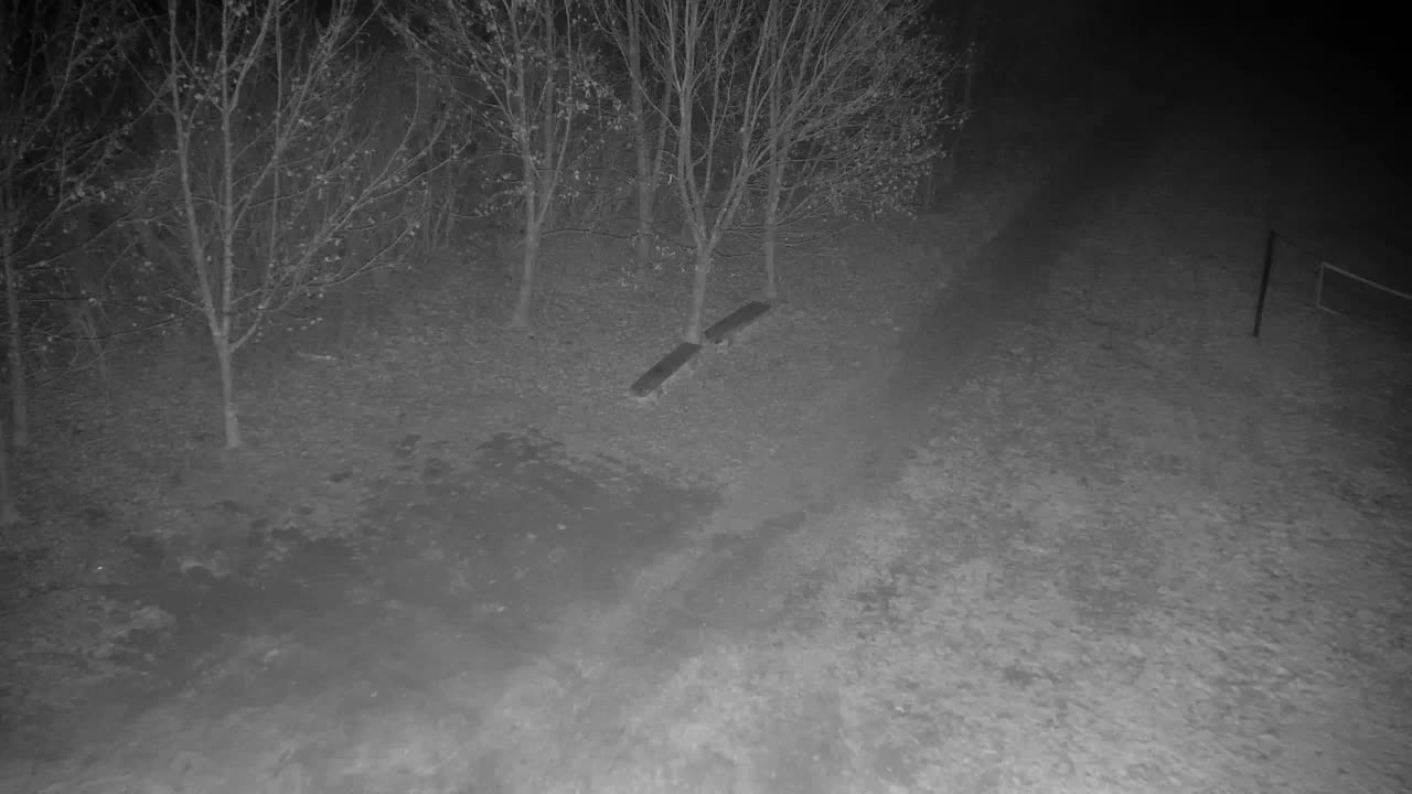 Webcam Ribnik Vrbje – Žalec