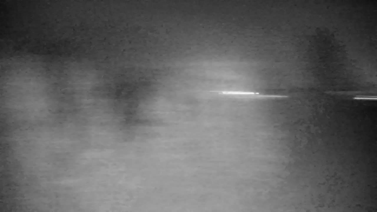 Webcam Ribnik Vrbje – Žalec