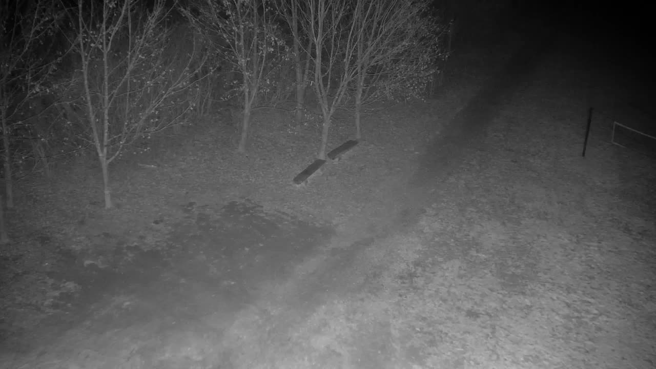 Webcam Ribnik Vrbje – Žalec