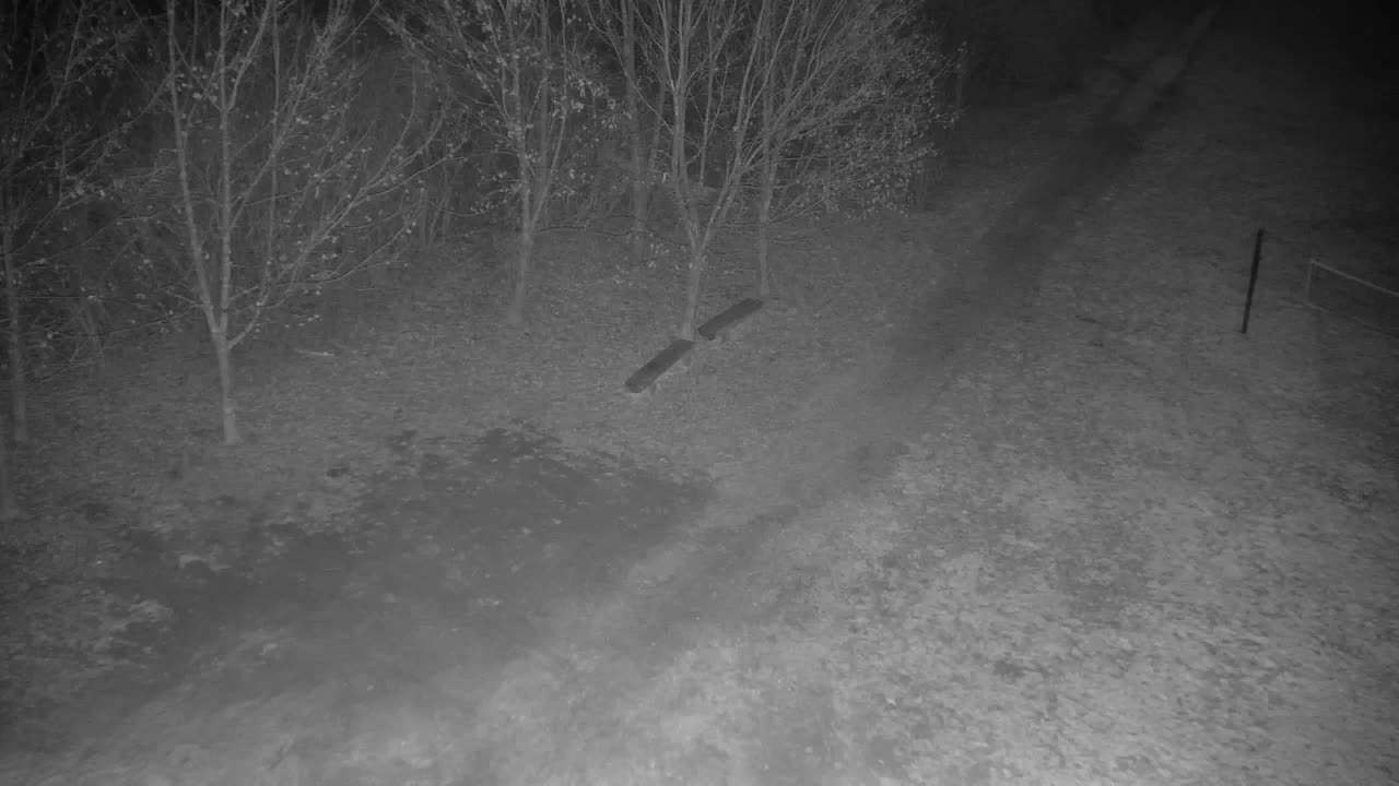 Webcam Ribnik Vrbje – Žalec