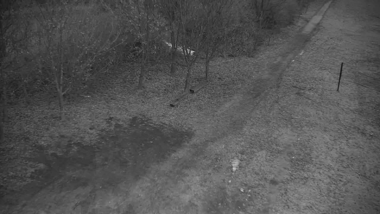 Webcam Ribnik Vrbje – Žalec