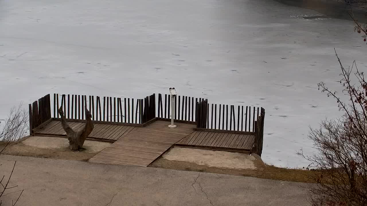 Webcam Ribnik Vrbje – Žalec