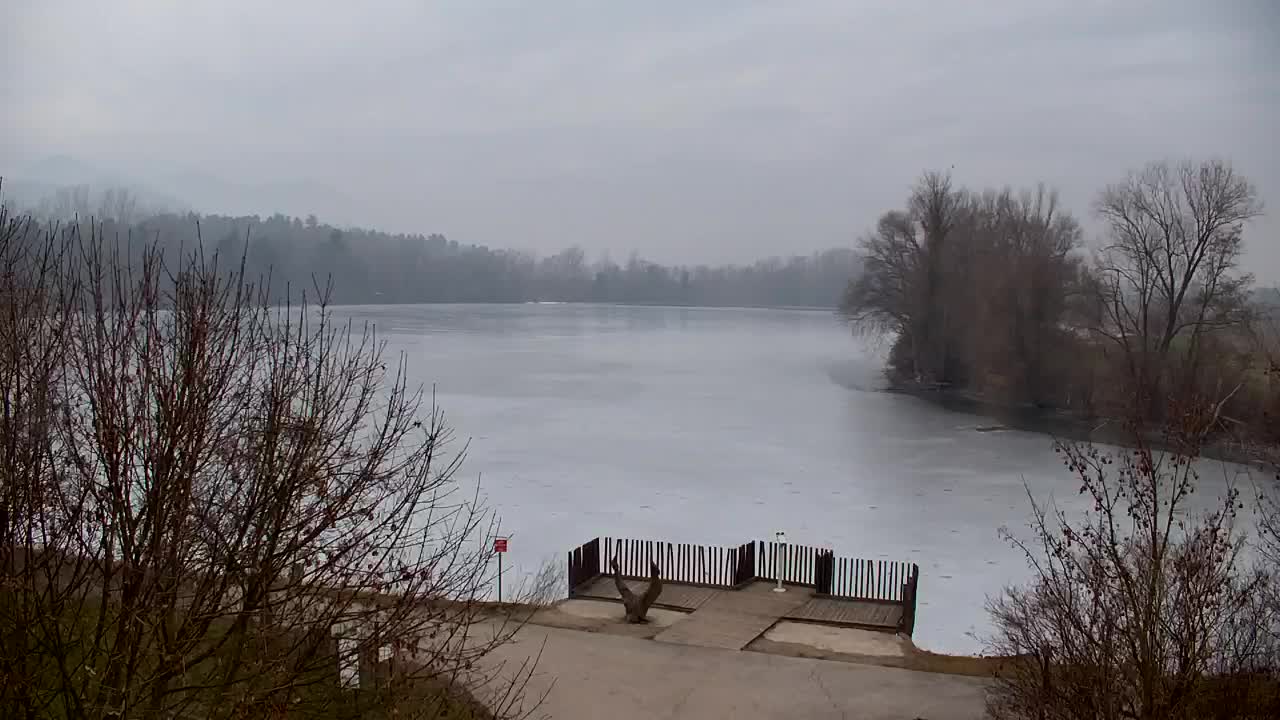 Webcam Ribnik Vrbje – Žalec