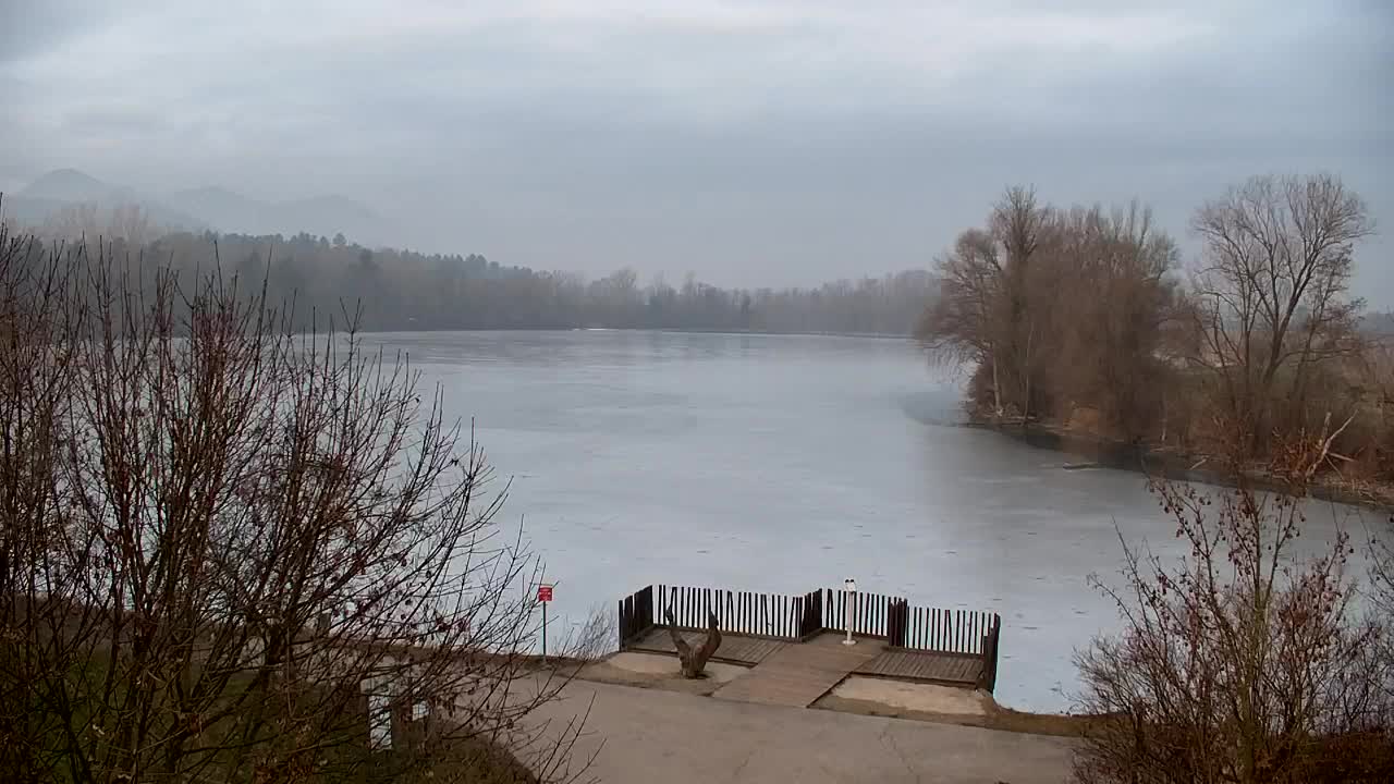 Webcam Ribnik Vrbje – Žalec