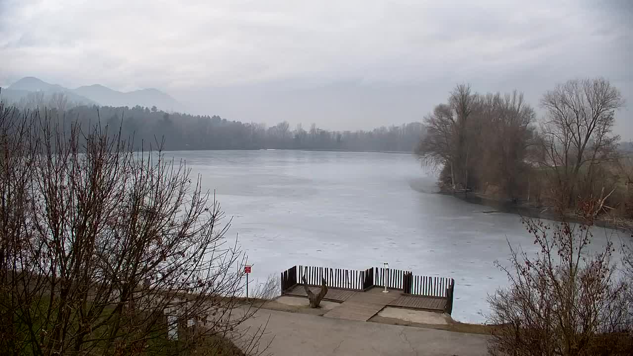 Webcam Ribnik Vrbje – Žalec