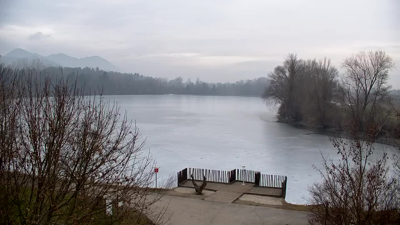 Webcam Ribnik Vrbje – Žalec