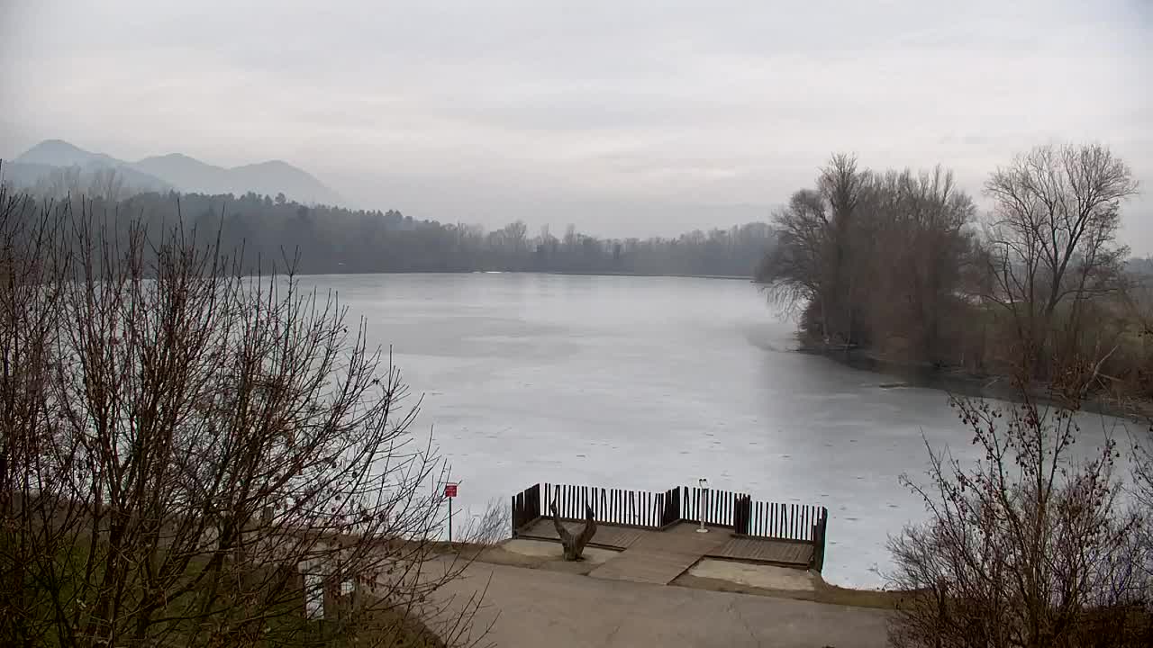 Spletna kamera Ribnik Vrbje – Žalec